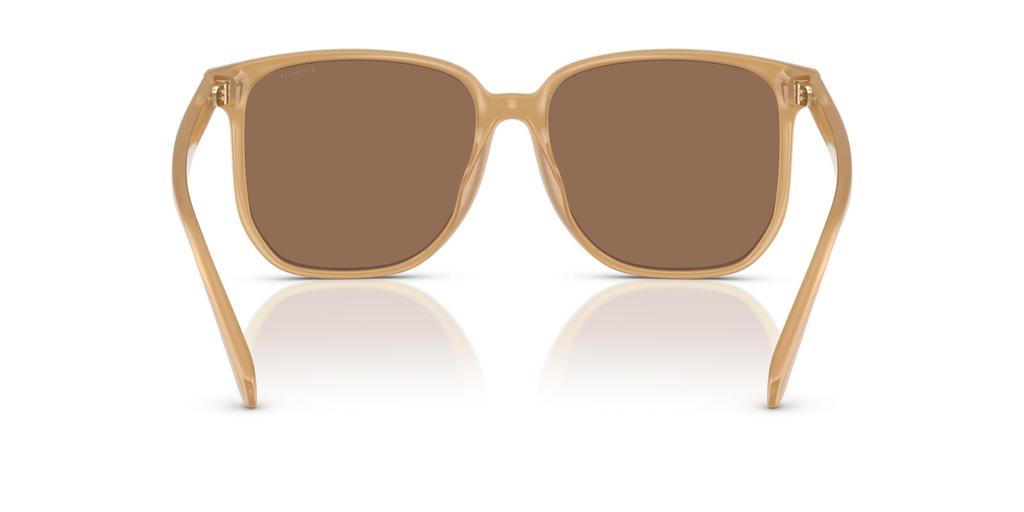 Sunglasses 0HC8413BD MILKY TEA 58 [Coach]