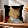 Funny Cat MMeme  cm Cushion Cover Pillow Cover Decor Pillowcase Home Pillowcase for Couch Pillow