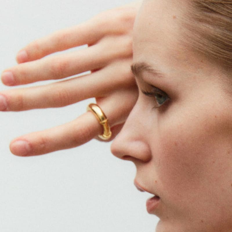 AHNI Hold R_gold/silver