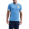 Nike Uruguaj Domáca verzia pre fanúšikov Rýchloschnúce Priedušné Okrúhly výstrih Krátky rukáv Futbalové tričko Pánske Vrcholy IM8589-412