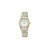 Seiko Alba Women's Quartz Watch Stainless Steel Analog 10 ATM Water Resistant AEGK427