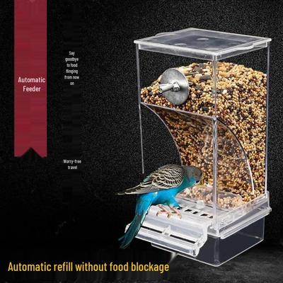 מזון לתוכים ולקוקטילים עמיד בפני התזה - מיכל מזון מונע שפיכה