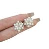 Freshwater Pearl Zircon Flower Stud Earrings - Light Luxury, Cute & Versatile Design for Women