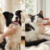 200 Stück Fingerlinge Hundeohrentücher für Nagelreinigung Hund Katze Zähne