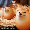 Sıkma oyuncağı Shiba Inu Sipapa el yapımı stres giderici köpek yumurtası yumuşak yaratıcı duyusal Shibako set 3