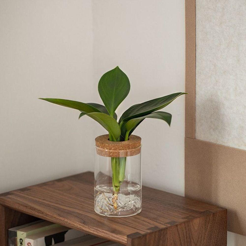 Thickened Flower Vase Glass Flower Pot Micro Landscape Bonsai Mountain Viewing Bottle Home