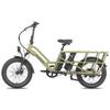 Fafrees FF20 CUV Longtail Electric Bike, 12 Ah X 2 Batteries, 250W