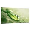 GLASS PROTECTIVE PLATE FOR STOVE 90X52 DROP