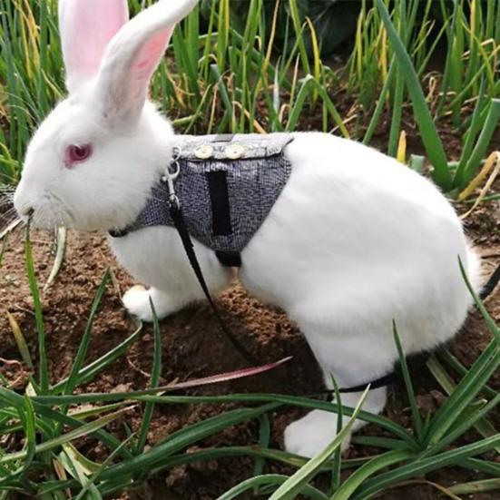 Rabbit Harness Gentleman Fabric Pet Vest Design Leashes Walking Safety Chest Strap