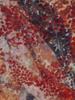 Women' Red Passigatti Scarf