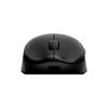 RAWM ES21M Gaming Mouse Black Wireless Gaming Mouse (Authentic Japanese Distributor Warranty)