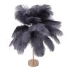 Decorative Table Lamp 30PCS Feathers USB Rechargeable Light Touch Control Desk Light Built In
