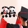 25cm Kawaii Doctor Panda Plush Toys Kawaii Panda Bears with Doctorial Hat Plushie Doll Stuffed Animal Toy Kids Graduation Gift