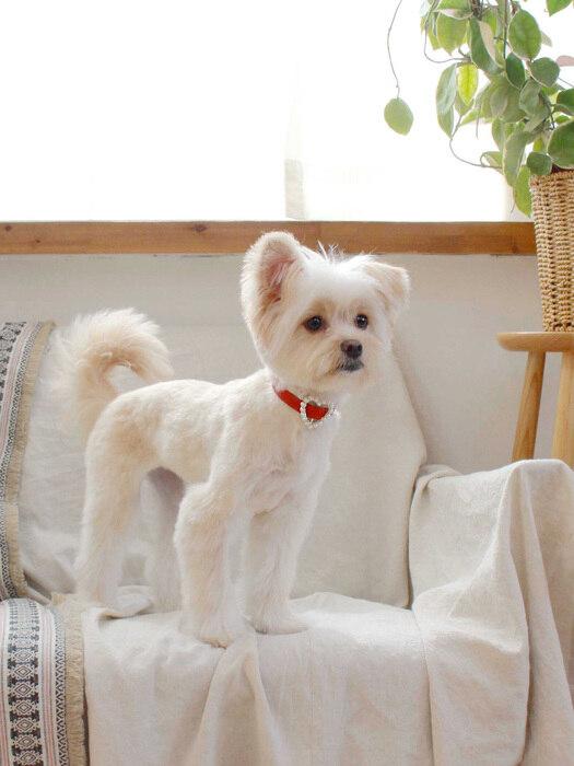 MAISON DE MIU Heart Pearl Collar_Red Red