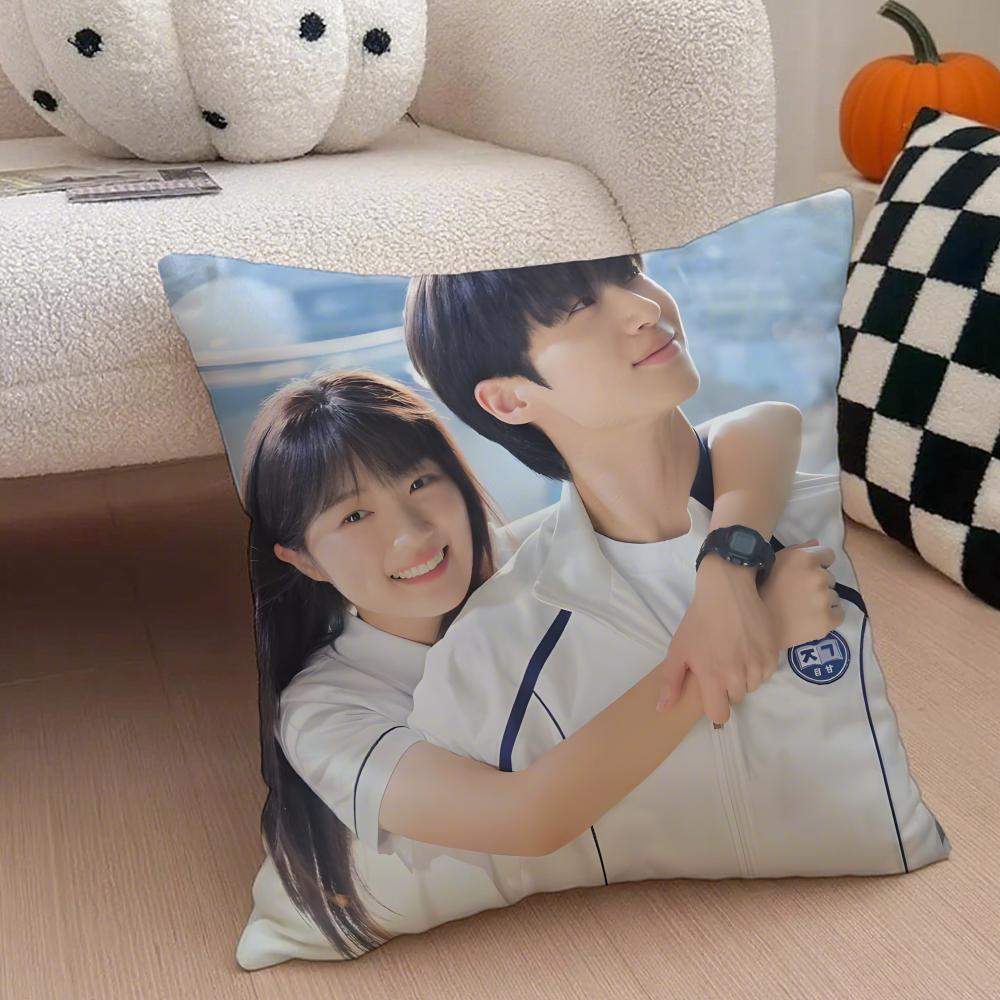korean drama LLovely Runner Cushion Cover Throw Pillow Cover Hidden Button Durable Polyester Chair Cushion