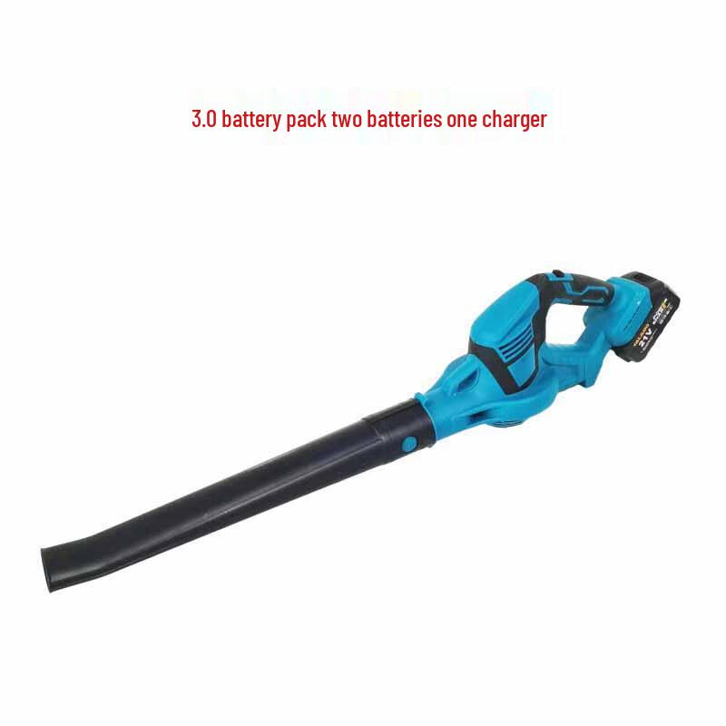

Huchen High-Power Cordless Storm Blower CN plug (adapter included)