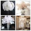 10pcslot Natural White Ostrich Feathers 15-50cm Big Plumas for Wedding Home Decoration Ostrich Plumes Table Centerpiece Crafts