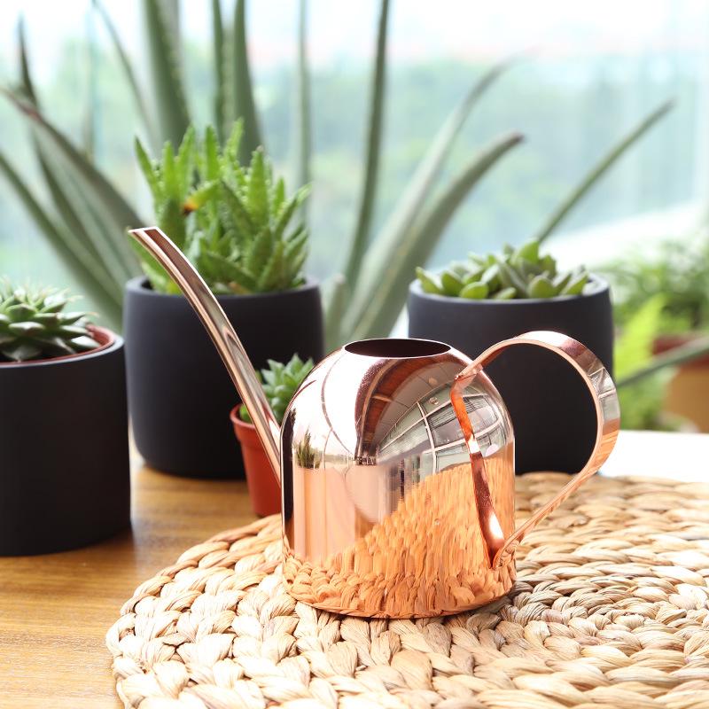 Stainless Steel Long Spout Watering Can - 500ML Balcony Household Sprinkler & Metal Spray Bottle