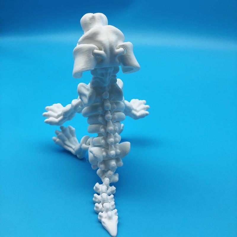 3D Printing Skeleton Sausage Dog Statues, Sausage Dog Bone Dog Ornaments, Skeleton Dog Statues, and Movable Puppy Ornaments