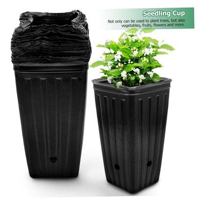 10 BUC Pahare pentru Răsaduri, Tăvi pentru Plantare pentru Inițierea Semințelor de Plante de Grădină, pentru Răsaduri Citrice de Grădină și Ghivece pentru Plantarea Florilor