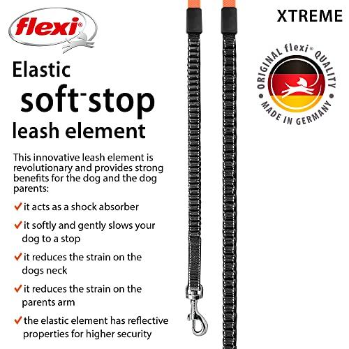 Flexi Einziehbare Hundeleine mit Extremband (Klein, 5m, für Hunde unter 20kg)