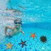 Authentic Sea Star Animal Models For Kids Educational Beach Toys Colorful Pvc Set