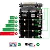 2 In 1 M.2 NVMe SATA U2PCB M.2 NVME SSD Key M Key B SSD To U.2 SFF-8639 Adapter PCIe M2 Converter Desktop Computer Parts