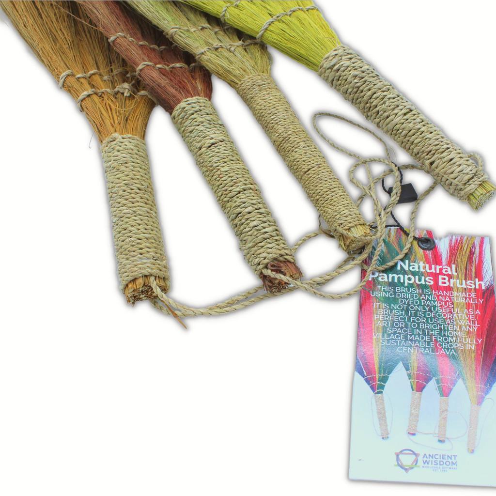 Broom Set of 4 Long Natural Colours Pampus