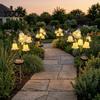 Pathway Lights for Garden Decor 6 Head Lily Solar Light, IP44 Waterproof Flower Weather Resistant Lawn Stakes Stake Lamp Yard Patio, Outdoor Landscape