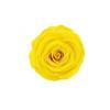 P-1  21 Preserved Roses in a Box Wedding Decor Floral Arrangements Wedding Dried Flower Home Decor Baby Shower Flowers 2~3cm