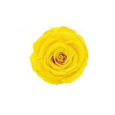 P-1 21 Preserved Roses in a Box Wedding Decor Floral Arrangements Wedding Dried Flower Home Decor Baby Shower Flowers 2~3cm