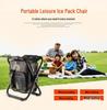 Oxford Cloth Outdoor Cooler Bag with Folding Chair for Fishing & Picnics
