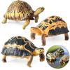 Wild Animal Model: Children's Simulation Turtle Gift Set - Tortoise Variants & Spiderweb Design.