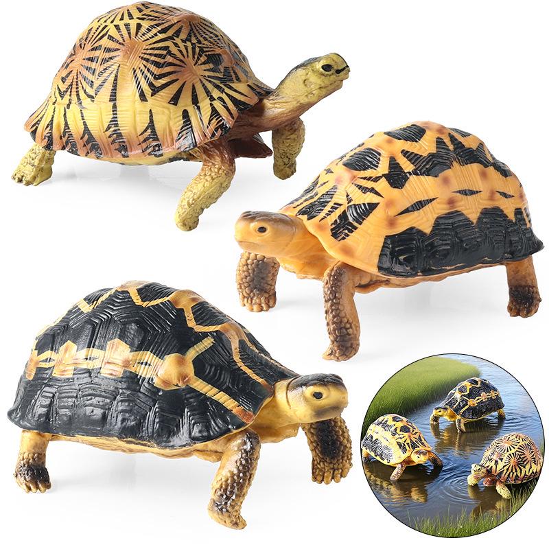 Wild Animal Model: Children's Simulation Turtle Gift Set - Tortoise Variants & Spiderweb Design.