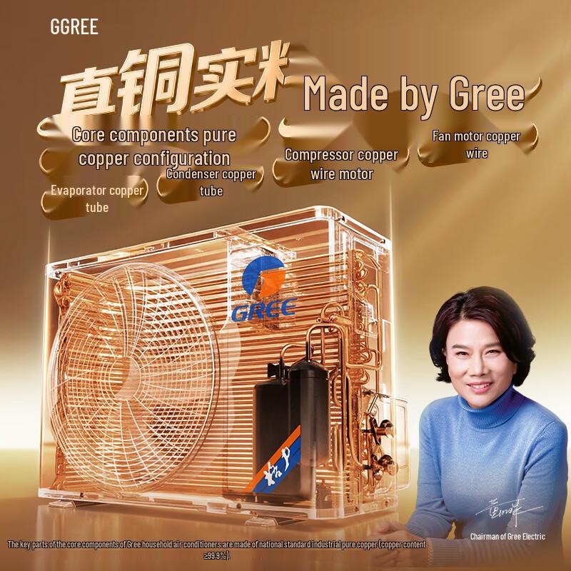 Gree 2 HP Smart Inverter Wall-Mounted Air Conditioner with Cooling and Heating CN plug (adapter included)