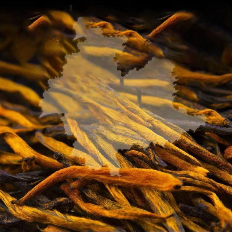 Authentic Dianhong Tea Premium Luzhou-flavor Golden Bud Black Tea New Tea
