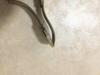 [USED] SEIKO DOLCE Men's Tungsten Quartz Watch, Gold