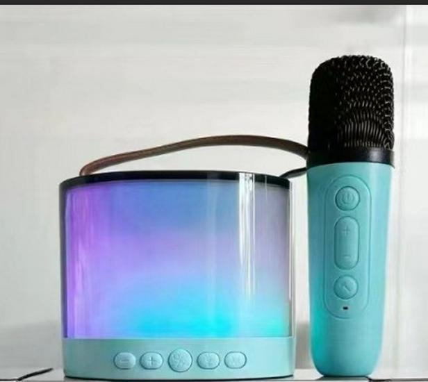 Best-Selling Portable Outdoor Bluetooth Speaker with Dual Microphones for Family Karaoke