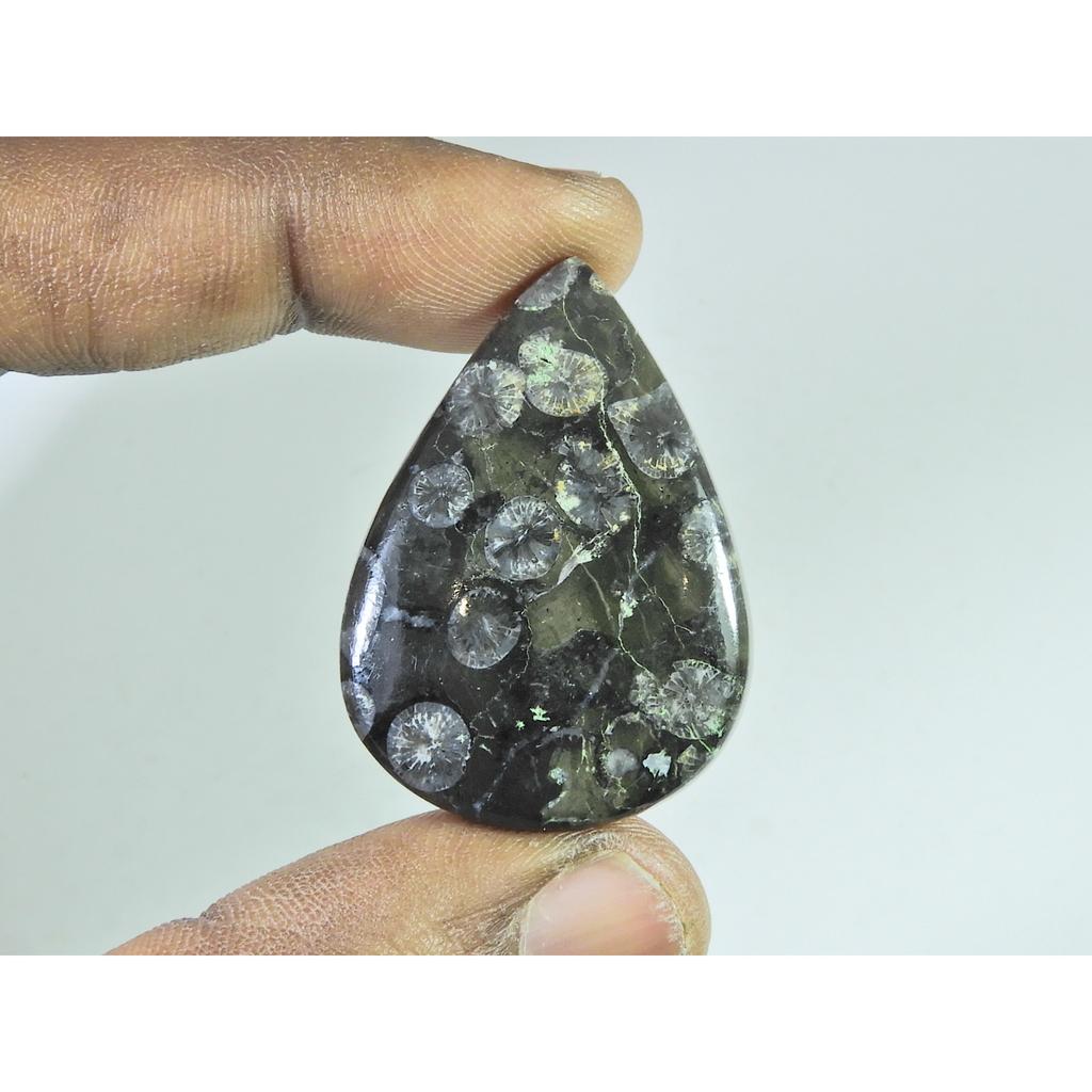 55Cts. Coral Fóssil Preto Natural Cabochão de Pérola Pedra Preciosa Solta 28X39X06 MM B-337