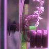 Quiet Aquarium Sponge Filter Increase Oxygen Air Driven Sponge Filter  Biological Filtration