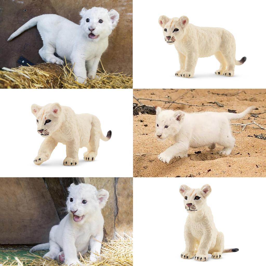 TOYMANY 6-Piece Lion Figure Set, White Lion Figures, Wildlife Models for Parents and Children, Realistic Animal Models for Home and Family Use,