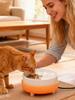 Heated Cat Bowl Rechargeable Pet Water Heating Bowl Noiseless Ceramic Water Bowl Cat Water Fountain Animal Drinking Dispenser