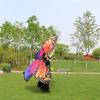 Egypt Belly  Dancing Costume Butterfly  Dance Accessories No Sticks