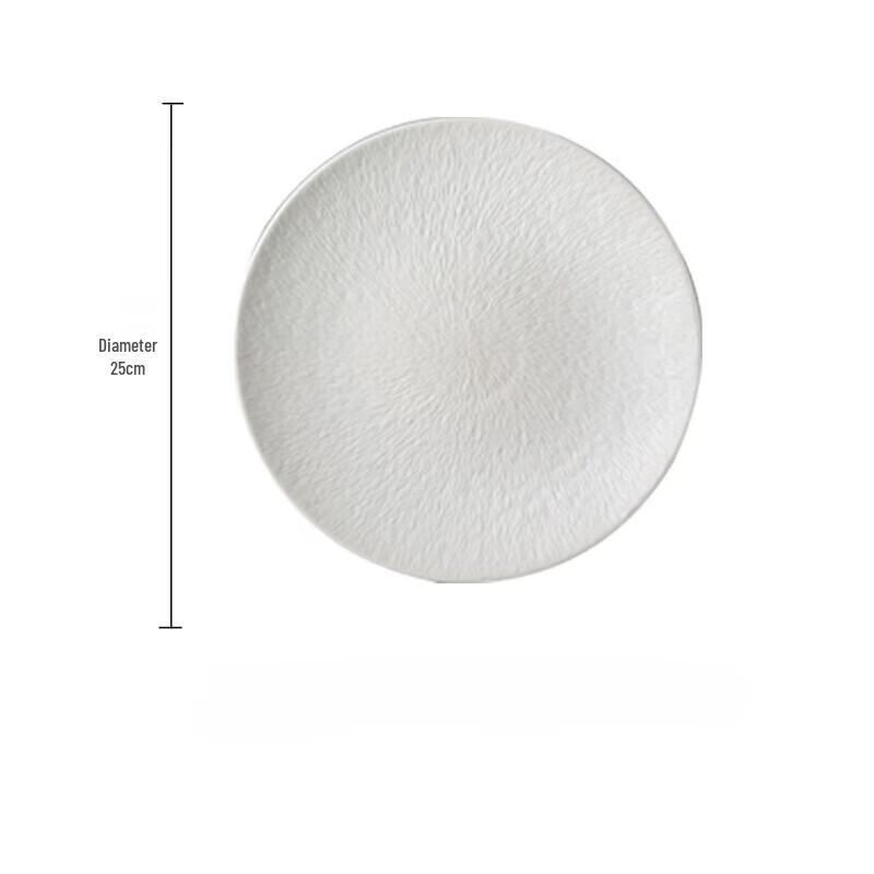 ZISIZ Ceramic Dinner Plate