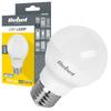 LED Lamp Bulb E27 G45 8W 806lm 4000K Rebel