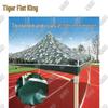 Tiger King Outdoor Folding Canopy with 3 Transparent Walls