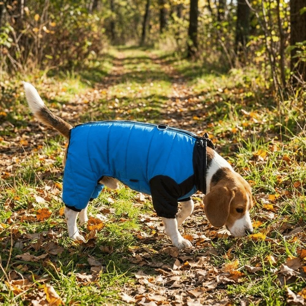 Warmer Hundejumpsuit Mantel Verdicken Hund Vierbeinige Kleidung Hund Daunenjacke Tägliche Kleidung