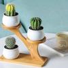 Wooden Material Flowerpot Bracket Desk Pendulums, Succulent Potted Plant Base, Room Desk Crafts