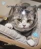 Pet Cat Transparent Space Helmet - Breathable Anti-Scratch Bite-Resistant Design with Cat Ears