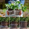 Stainless Steel Gardening Guard Net Baskets Plant Root Protection Mesh Bags Plant Flowers Insect Mouse Wire Prevention Cover